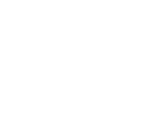 logotype couleur de secuvigie
